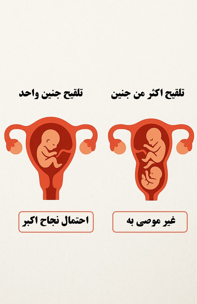 مقارنة بين نقل جنين واحد (أمان أعلى) ونقل أجنة متعدّدة (مخاطر أعلى)، للتأكيد على سياسة نقل جنينٍ واحد (SET) لتقليل مخاطر الحمل المتعدّد