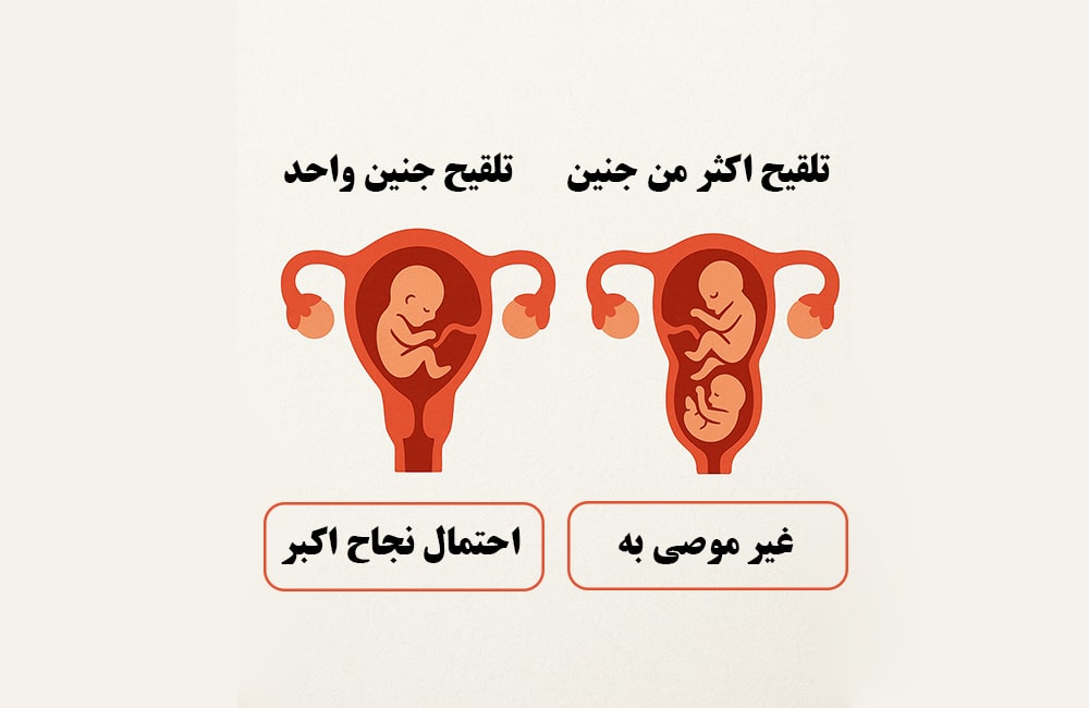 مقارنة بين نقل جنين واحد (أمان أعلى) ونقل أجنة متعدّدة (مخاطر أعلى)، للتأكيد على سياسة نقل جنينٍ واحد (SET) لتقليل مخاطر الحمل المتعدّد